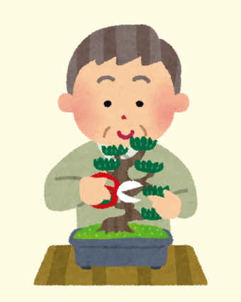 man pruning a juniper bonsai